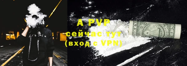 экстази Бородино