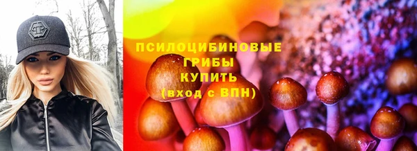 экстази Бородино