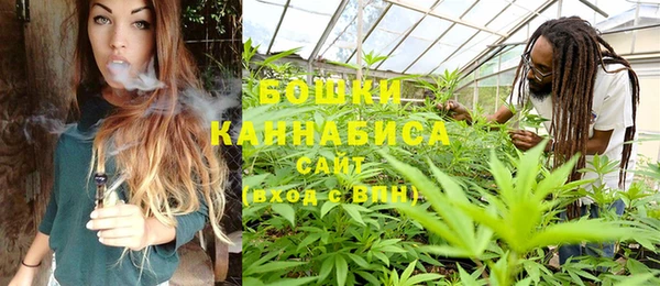 экстази Бородино