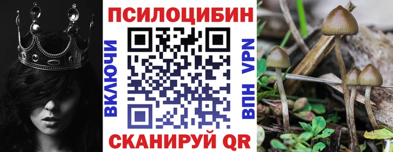 Галлюциногенные грибы Magic Shrooms Ижевск